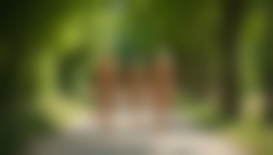 Ontdek rust en vrijheid op franse naturistencampings